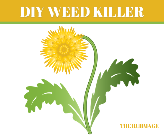 DIY WEED KILLER